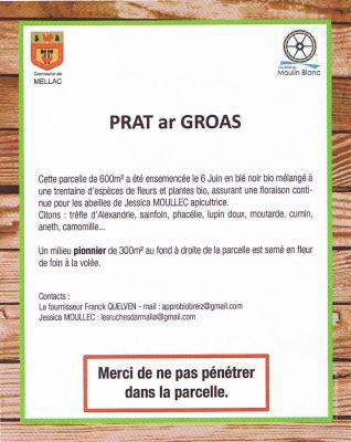 Prat ar groas